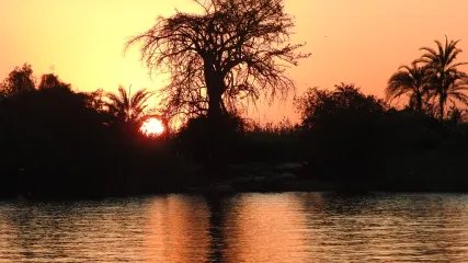 ZAMBIA