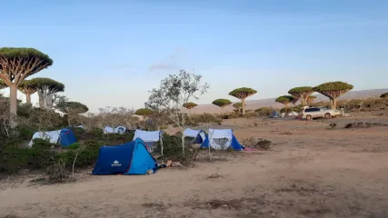 SOCOTRA