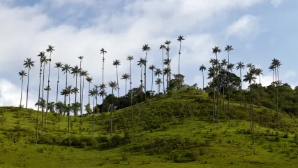 COLOMBIA -