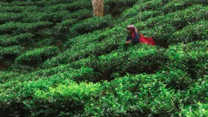 BANGLADESH