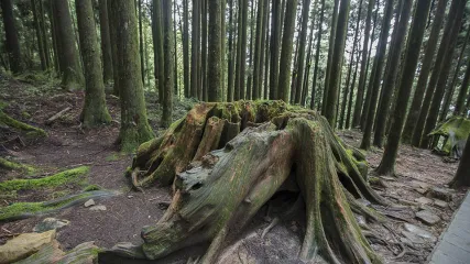 TAIWAN