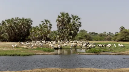 KENYA