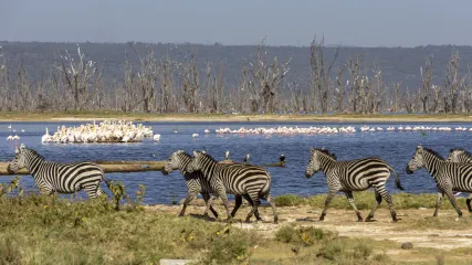 KENYA