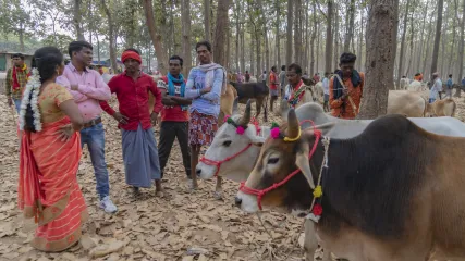 INDIA, ORISSA