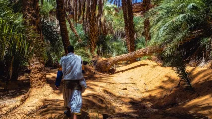 Uomo in abiti tradizionali cammina in un'oasi, con palme e vegetazione fitta, nel deserto.