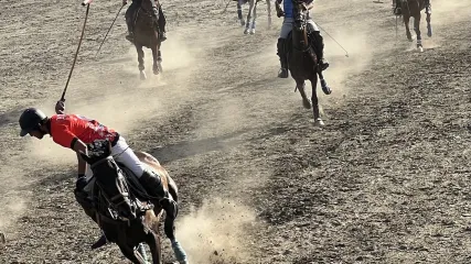 Scena dinamica di una partita di polo; cavalieri con mazze su cavalli galoppano sollevando polvere sull'arena
