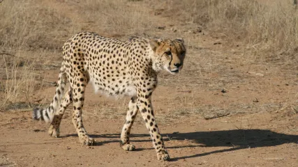 NAMIBIA