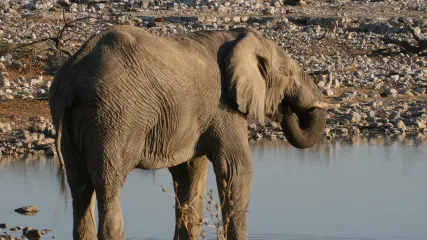 NAMIBIA