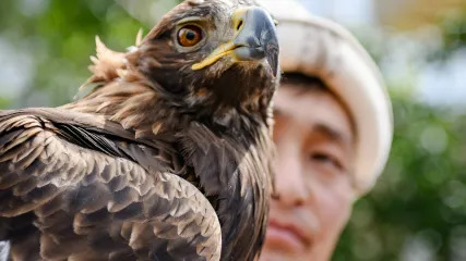 KYRGYZSTAN, SALBUURUN FESTIVAL