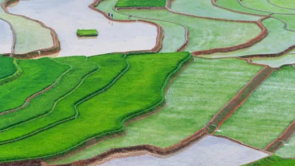 VIETNAM