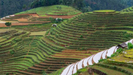 VIETNAM