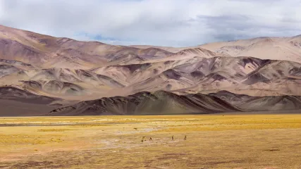 PUNA ARGENTINA