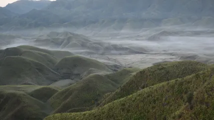 NAGALAND