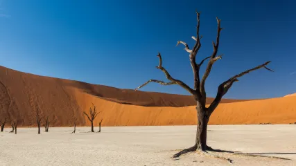 namibia