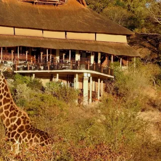 ZIMBABWE