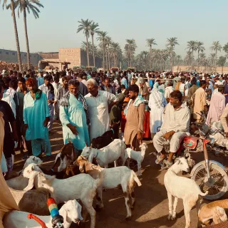 PAKISTAN DEL SUD