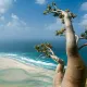 2 OK Socotra-Island-in-Yemen-10-1