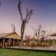 ZIMBABWE