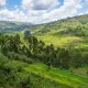 UGANDA