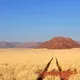 namibia