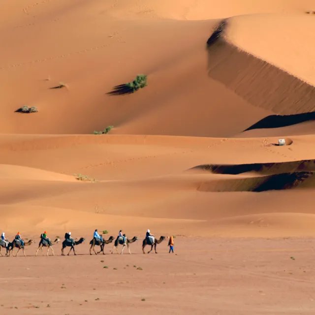 15. attraversamento del deserto (1)