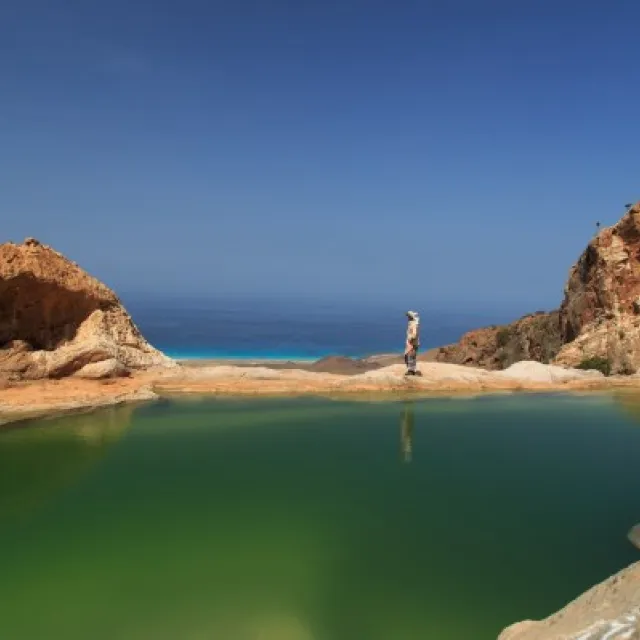 socotra