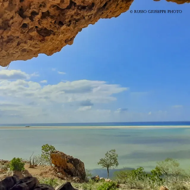 socotra