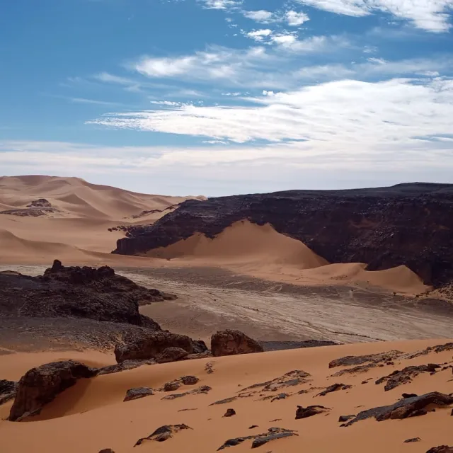 ALGERIA DESERTO