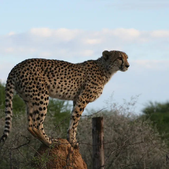 NAMIBIA