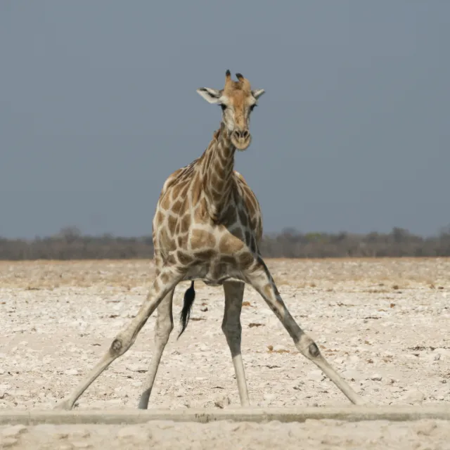NAMIBIA