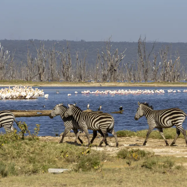 TANZANIA