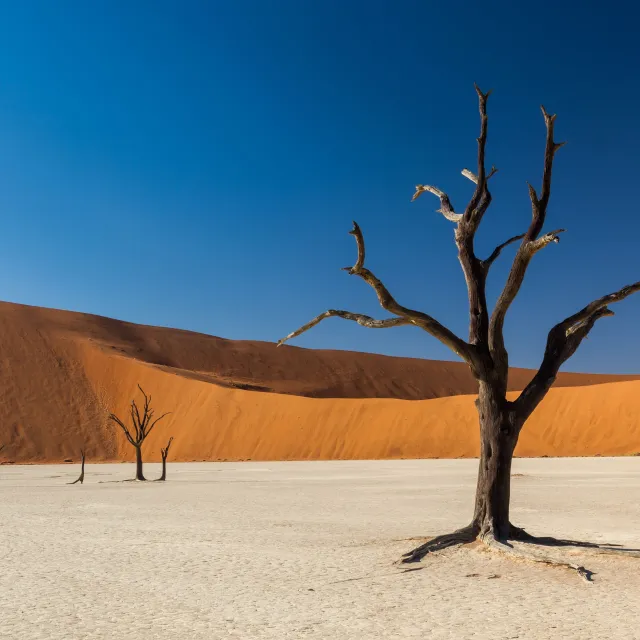 namibia 
