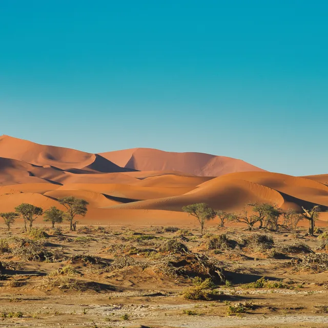 namibia paesaggio